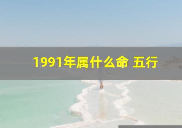 1991年属什么命 五行